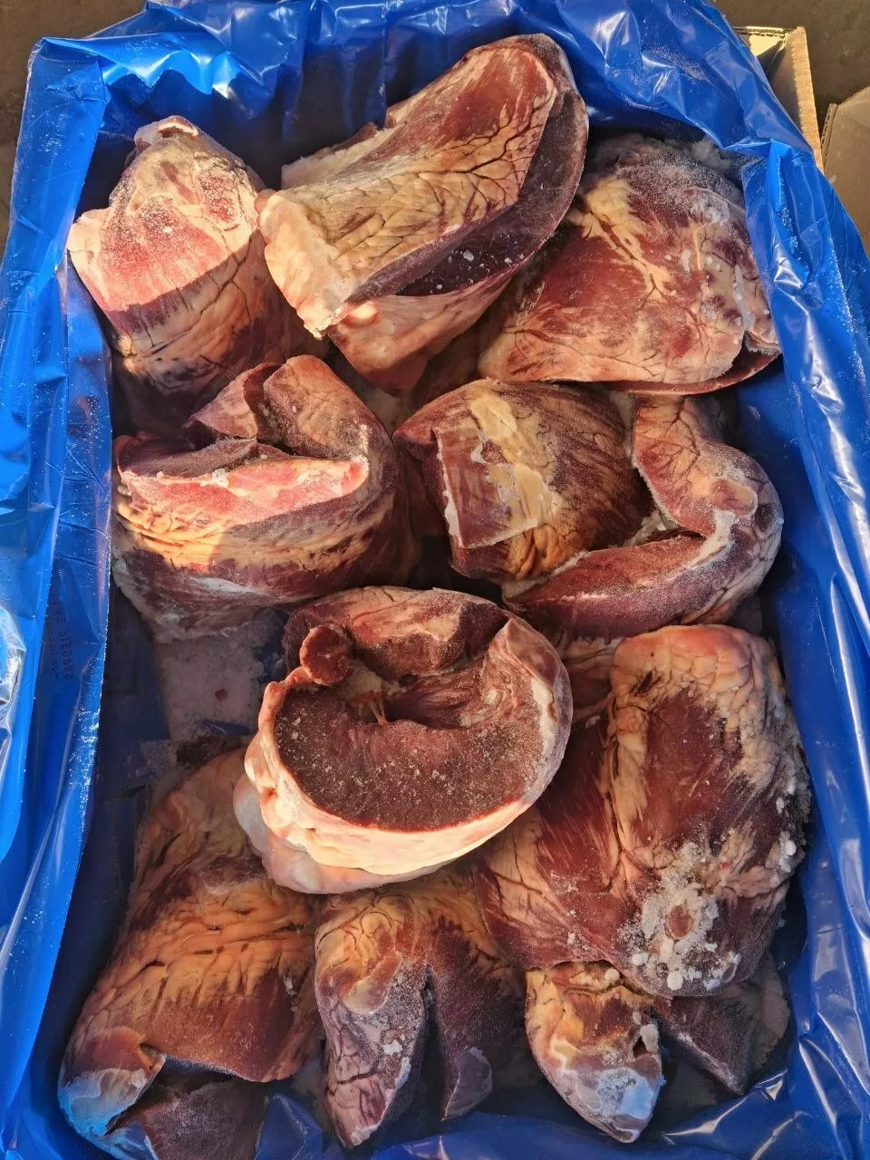 Фотография продукта Сердце говяжье лас педрас.уругвай.