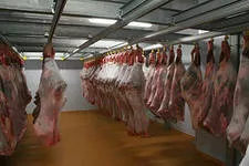 холодильные камеры хранения мяса в Санкт-Петербурге