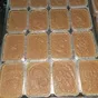новые виды продукции, технологии в Санкт-Петербурге 9