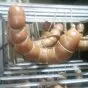 новые виды продукции, технологии в Санкт-Петербурге 4
