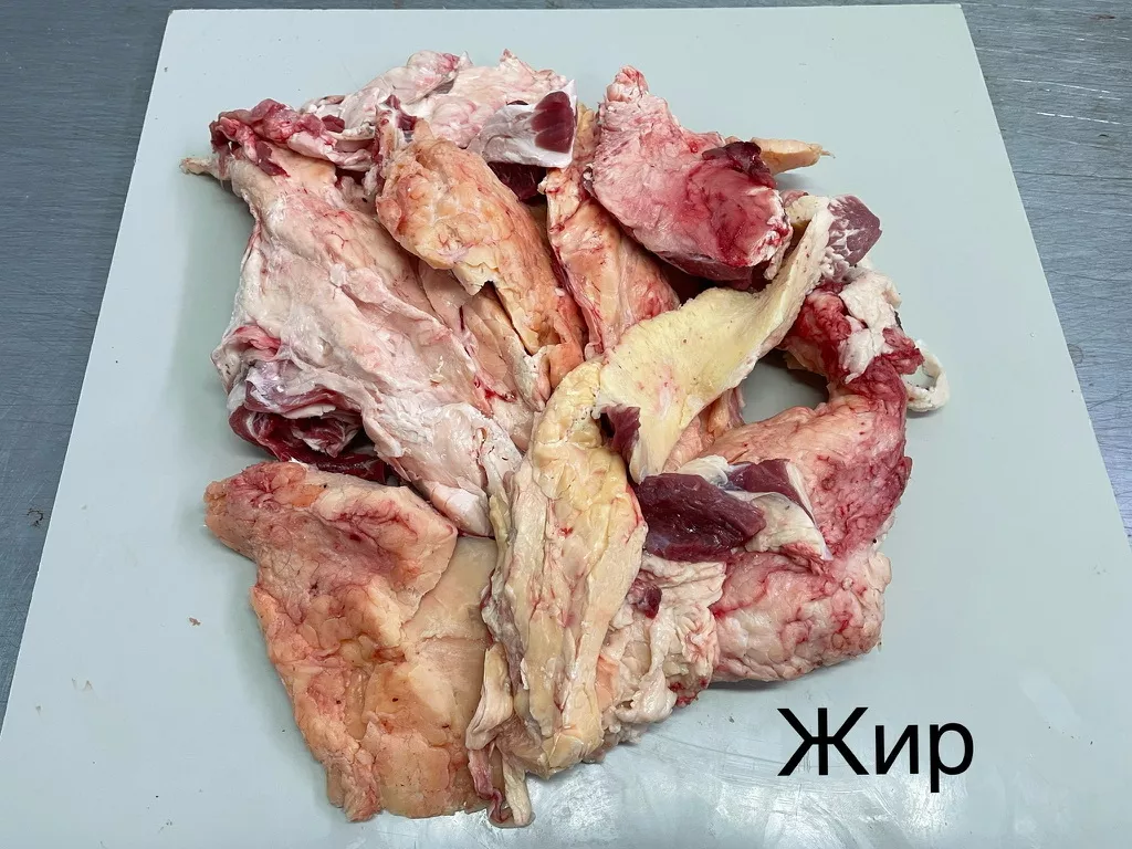 фотография продукта Жир говяжий корпусной