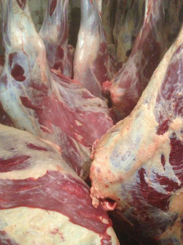 фотография продукта Мясо оптом