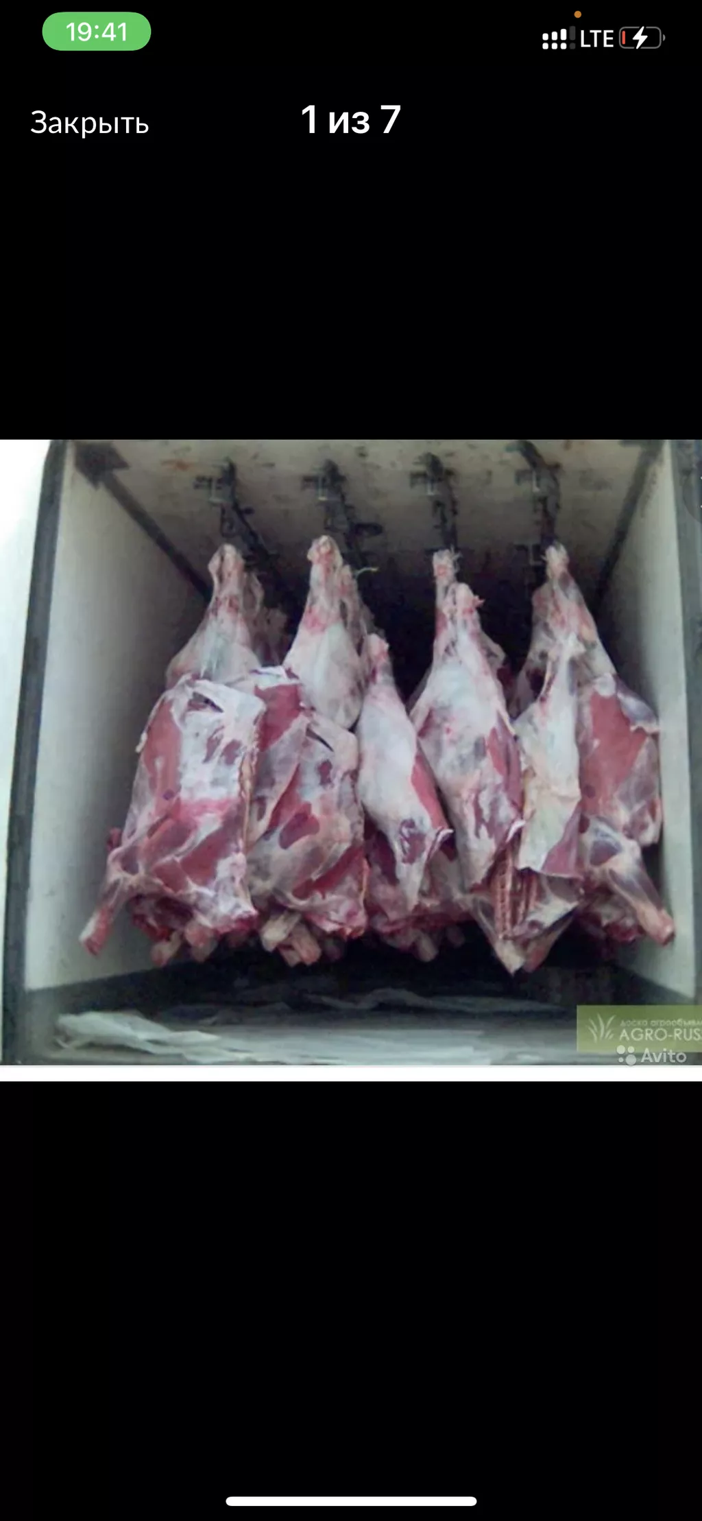 Фотография продукта Быки коровы телятина халяль в полутушах