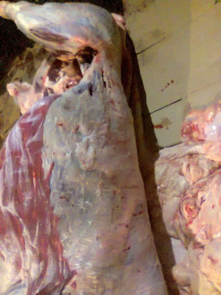 фотография продукта Свежее мясо говядины