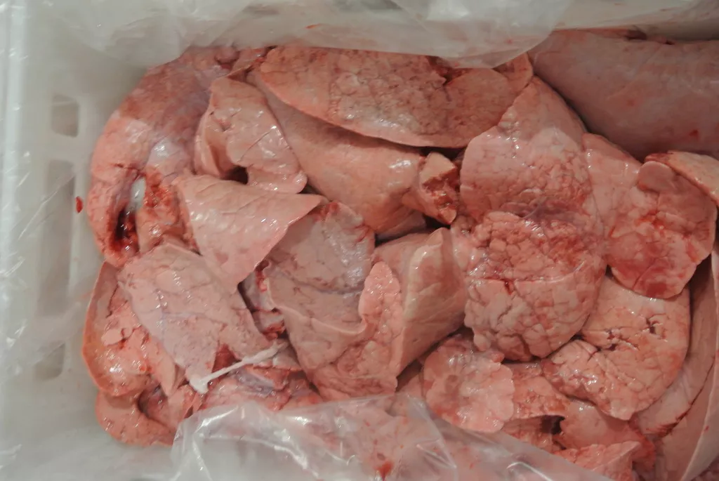 фотография продукта Легкое свиное