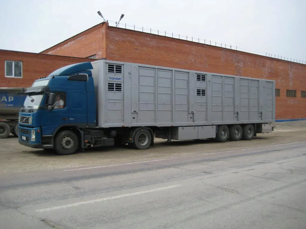 фотография продукта перевозим крупно-рогатый скот