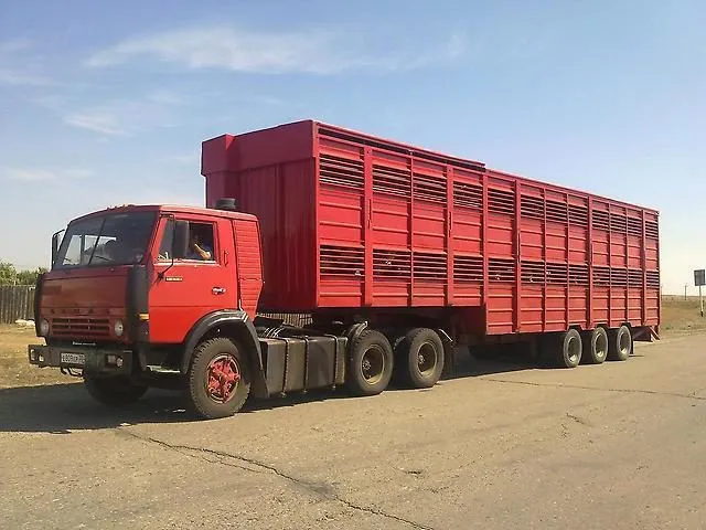 фотография продукта перевозка скота оборудованным скотовозом