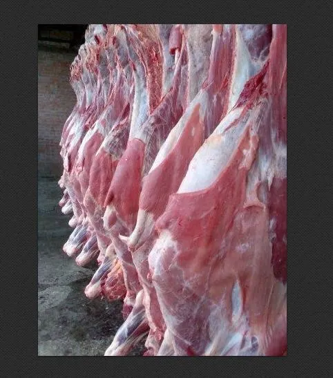 фотография продукта Мясо говядины охлажденка бык