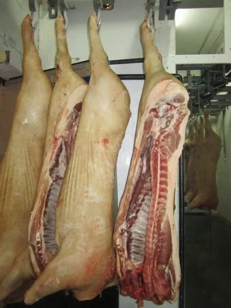 фотография продукта свинина в полутушах 1-ой и 2-ой кат. 