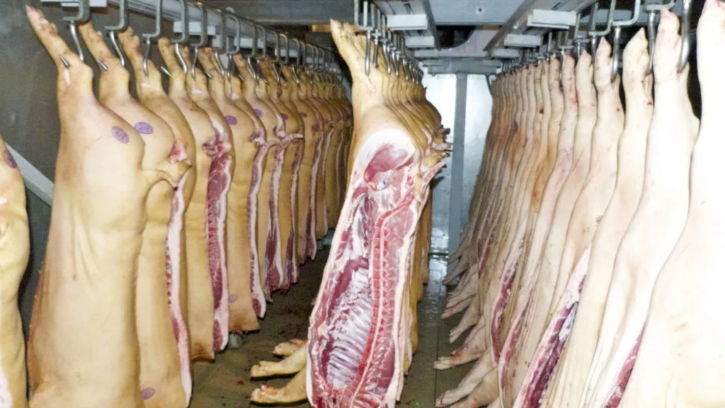 фотография продукта Беконная свинина от производителя Уфа