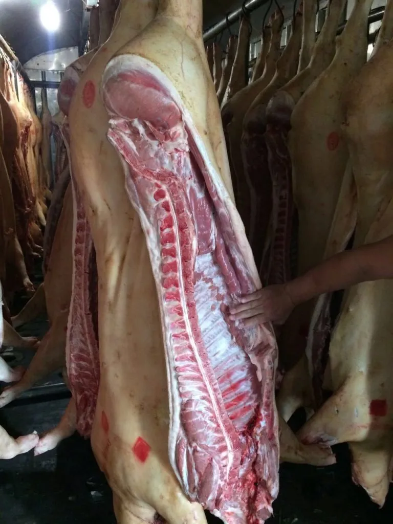 фотография продукта Свинина охлажденная в тушах