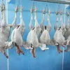 мясо птицы (индейка 1 сорт) в Тамбове 2