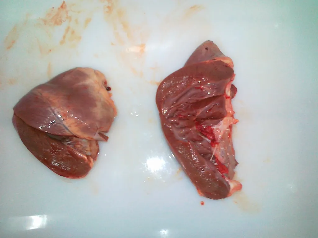 Фотография продукта Свиное сердце