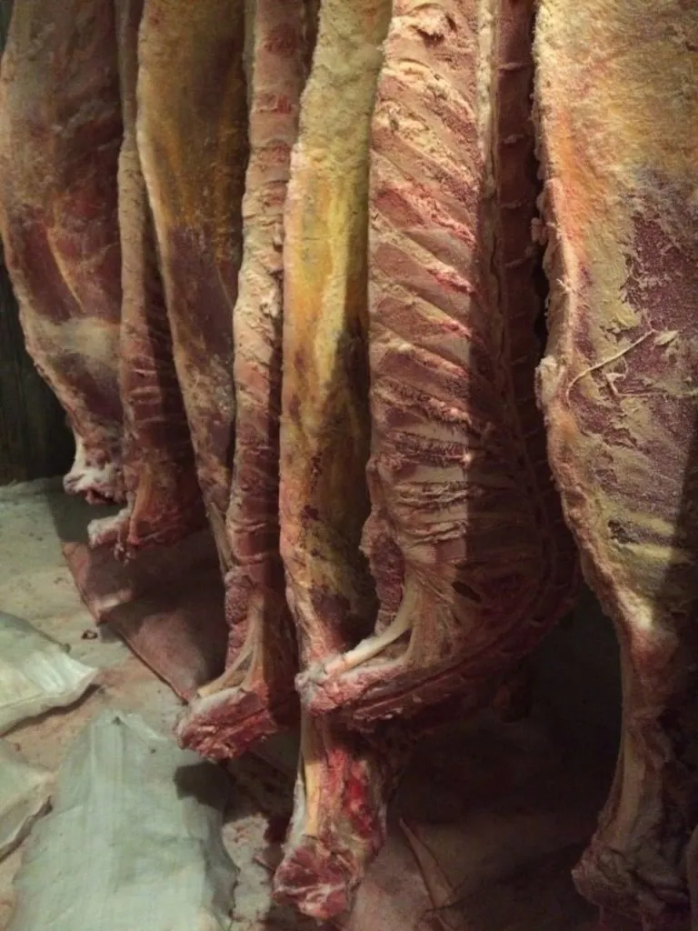 Фотография продукта Мясо говядины на кости, полутуши