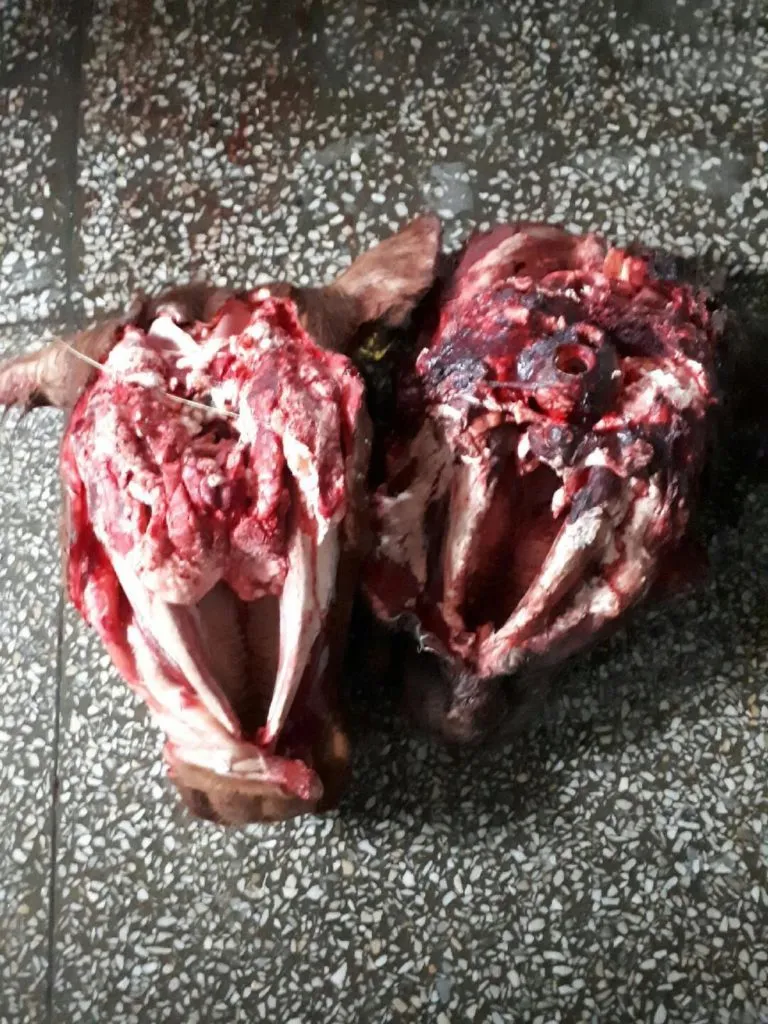 Фотография продукта Головы гов