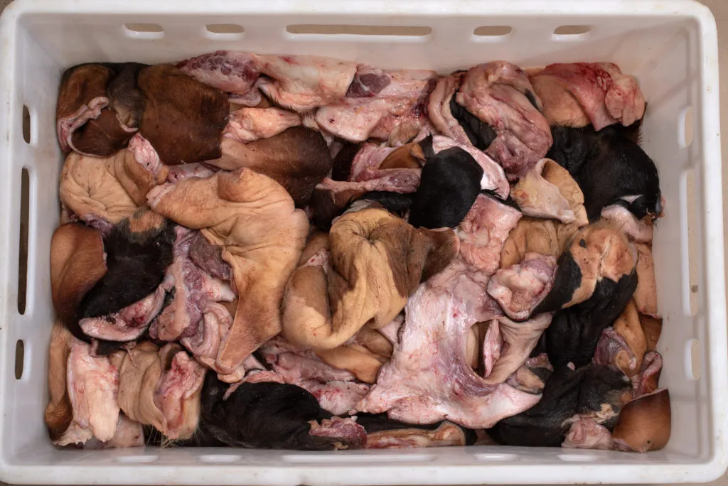 фотография продукта мясные корма для собак