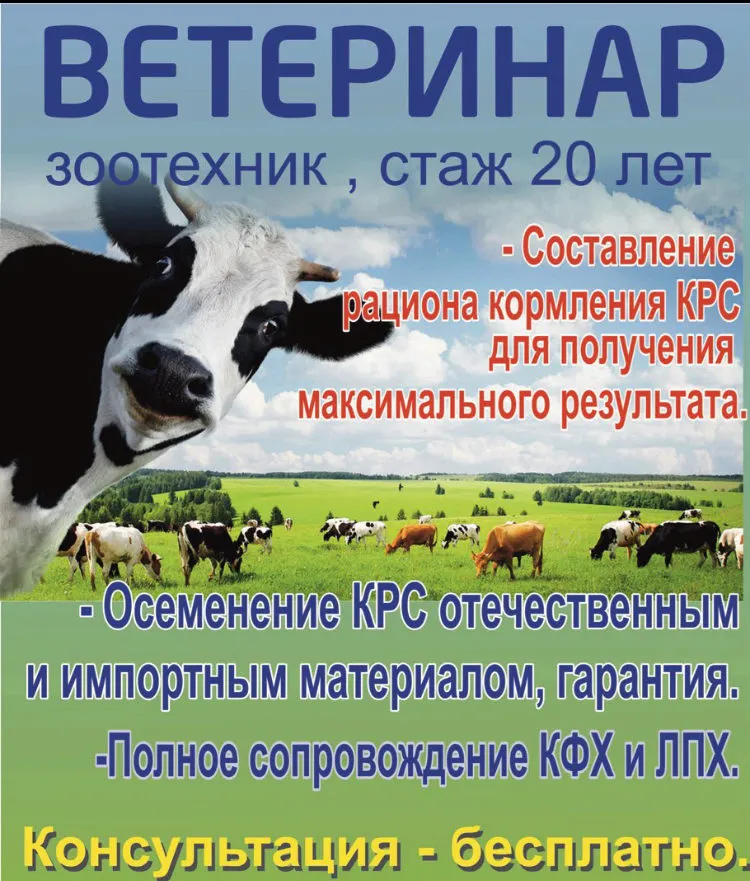 фотография продукта Осеменение КРС отеч. и имп. материалом .