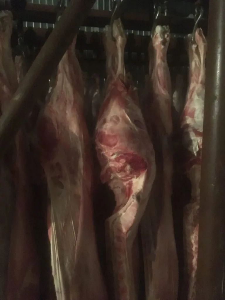 говядина мясо на кости от производителя в Барнауле 5