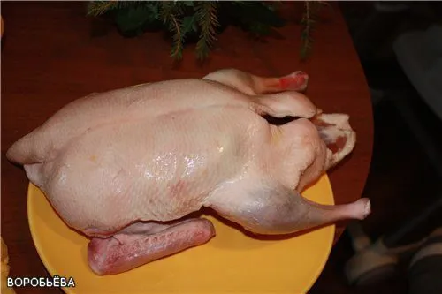 фотография продукта мясо утки домашней