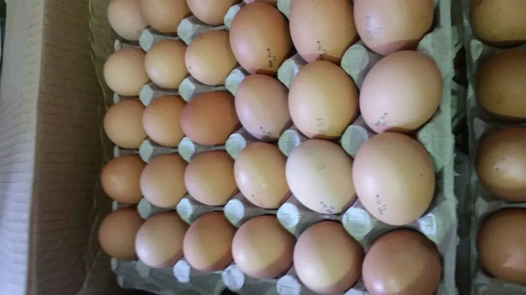 Яйца куриные с0 с1 с2. Фирмы яиц куриных. Яйцо куриное ветнадзор.