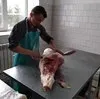 говядина охлажденка в Екатеринбурге 2