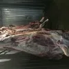 мясо говядина  в Барнауле 3