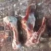 кости Свиные После Обвалки Полутушь в Москве 7