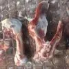 кости Свиные После Обвалки Полутушь в Москве 2