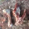 кости Свиные После Обвалки Полутушь в Москве