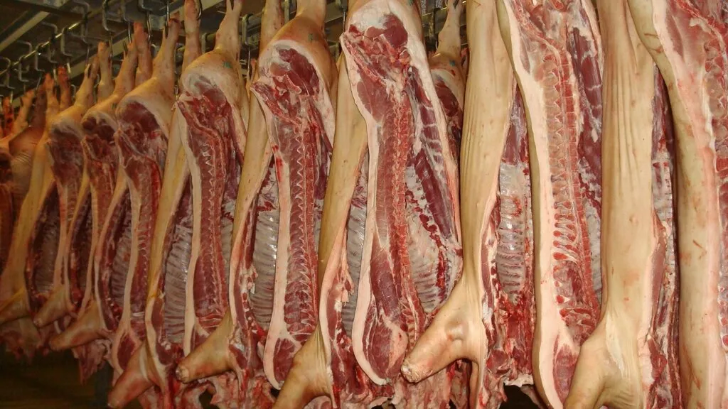 продаем мясо свинины  в Республике Беларусь
