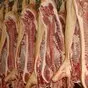 продаем мясо свинины  в Республике Беларусь 2