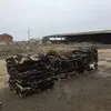  Шкуры КРС большие объёмы от 20 тонн в Ростове-на-Дону 6