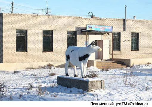 мясо индейки гузки тушки печень фарш в Челябинске 7