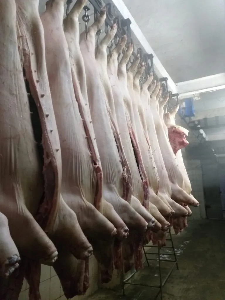 фотография продукта  мясо свинины в полутушах 1-2 категория 