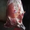 говядина п/т  охл. 1 кат с доставкой  в Санкт-Петербурге