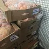 куры суповые От 104 руб.кг в Пензе