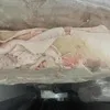 шкурка Свиная Мехсьем Шпарчан 30т в Москве 7