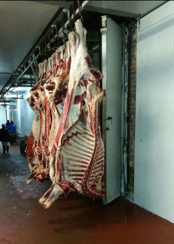 блочное мясо в Республике Беларусь