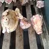 головы свиные зам. 15 р/кг 1 тонна в Екатеринбурге 2
