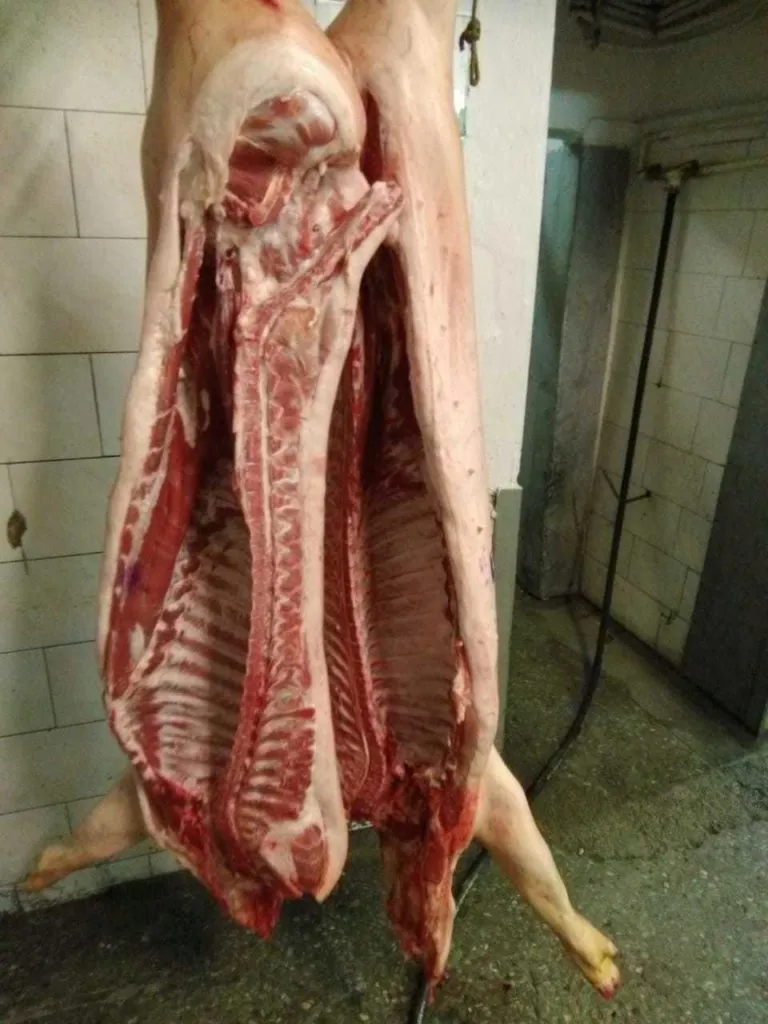 Фотография продукта Свинина в полутушах на шкуре