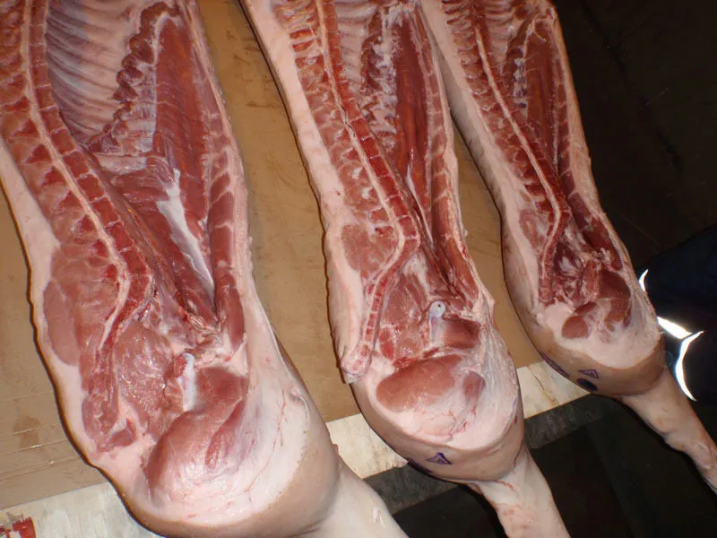 Фотография продукта мясо свинины от производителя.