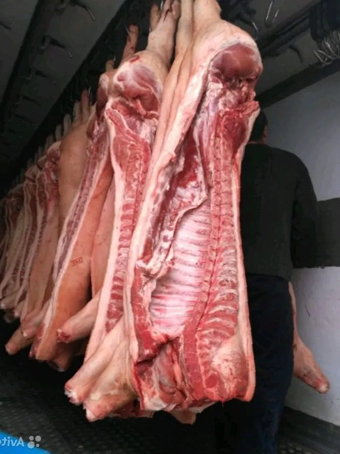 фотография продукта Мясо свинина оптом пт 161р/кг