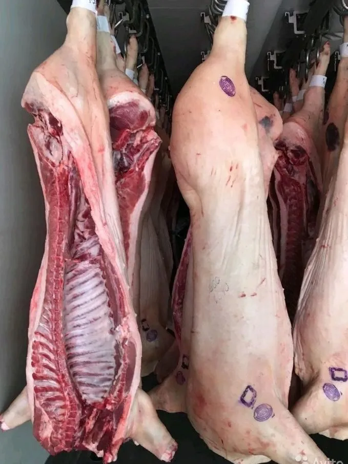 мясо свинина оптом в пт 161р/кг в Видном 2