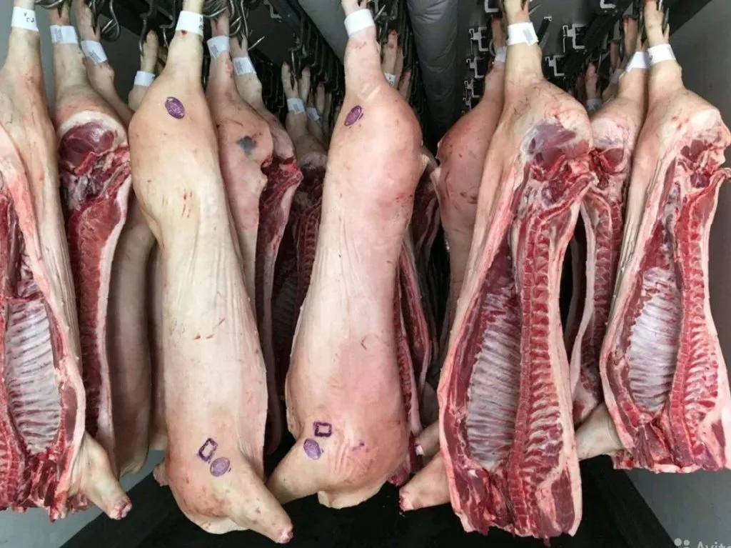 мясо свинина оптом в пт 161р/кг в Видном 3