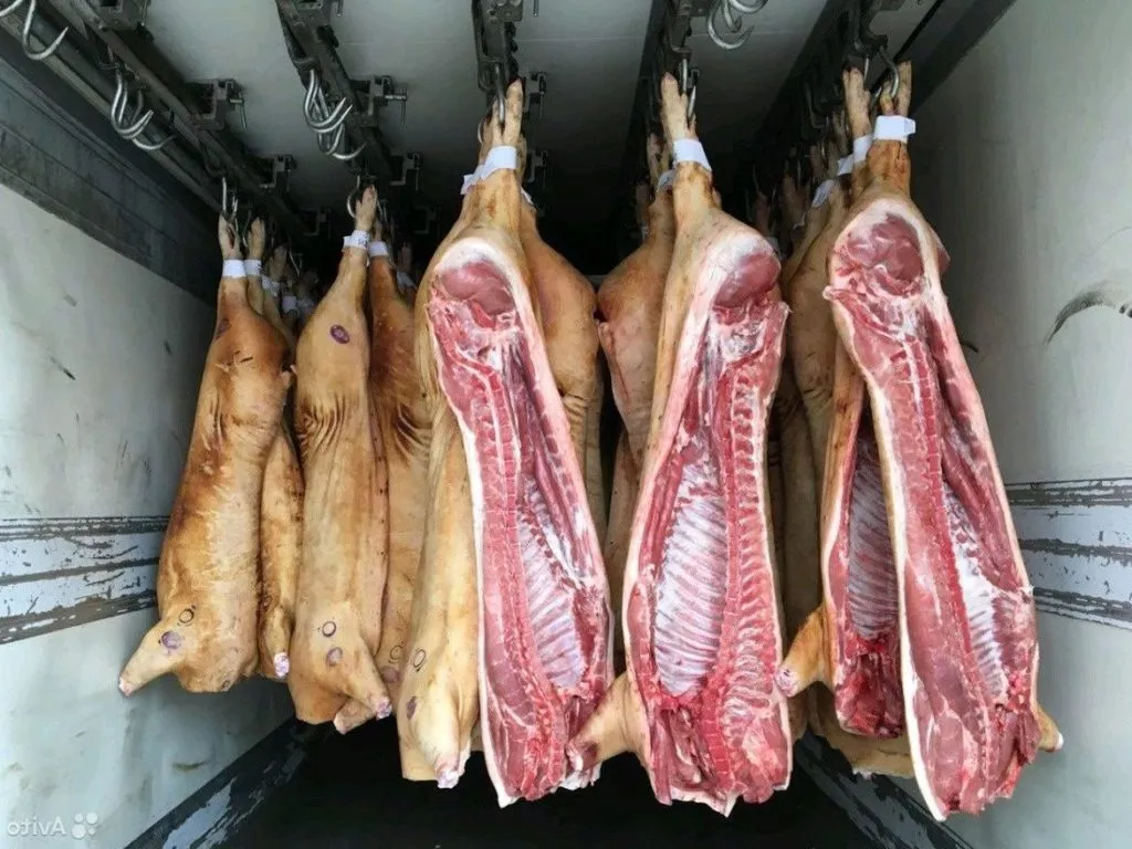 фотография продукта Мясо свинина оптом п/т 161р/кг
