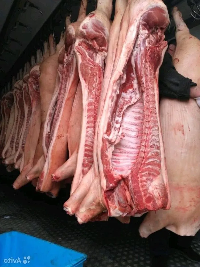 фотография продукта Свинина в полутушах оптом 161р/кг
