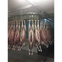 Фотография продукта  баранина от производителя из Монголии