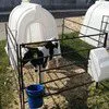 домик для содержания теленка в Республике Беларусь