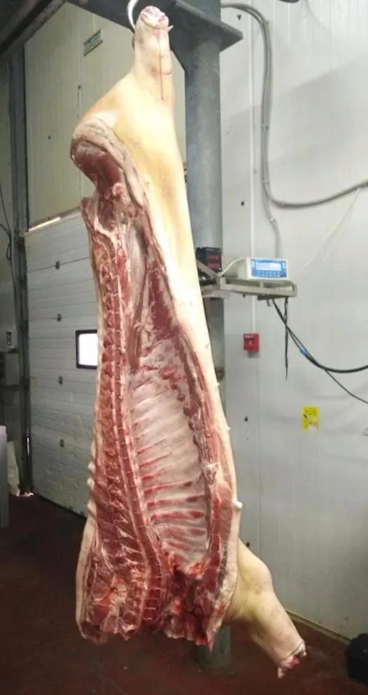 Фотография продукта Свинина в полутушах и свиные субпродукты