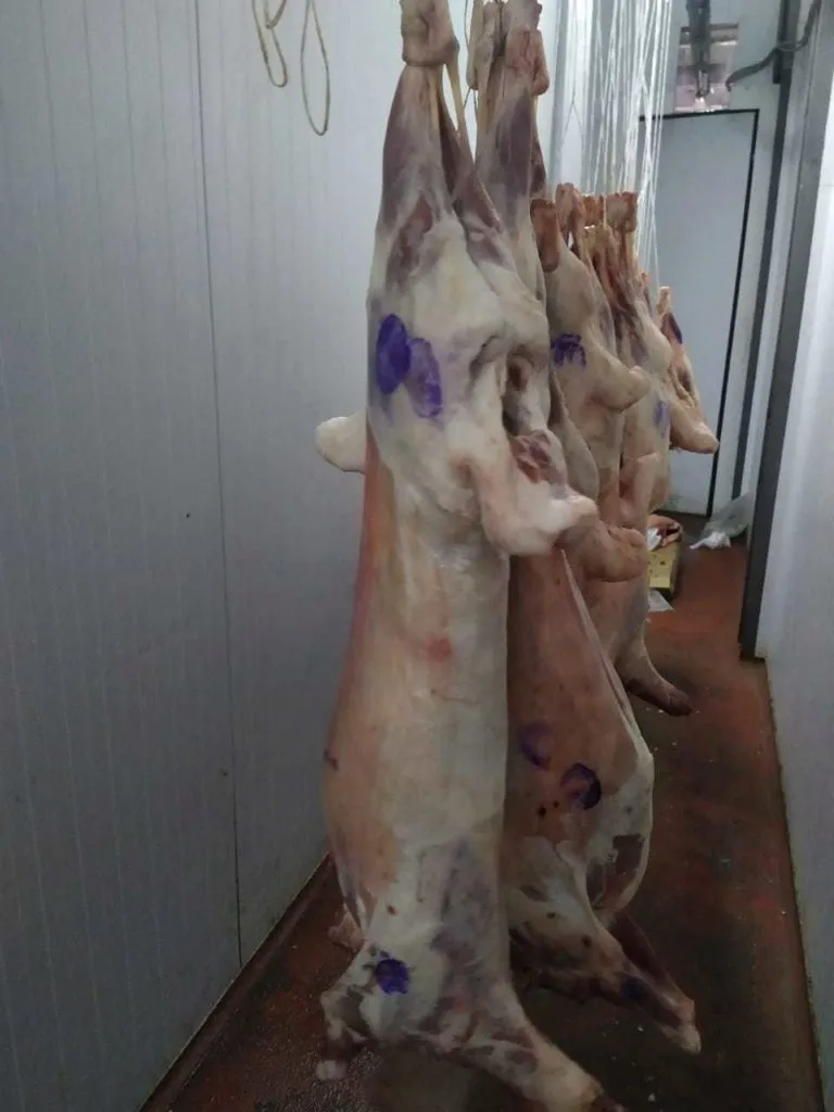 Фотография продукта Парное мясо баранины оптом